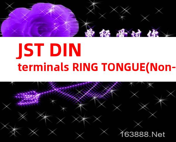 JST DIN terminals RING TONGUE(Non-insulated)系列 GS10-10产品规格书